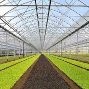 SERRE-AGRICOLTURA